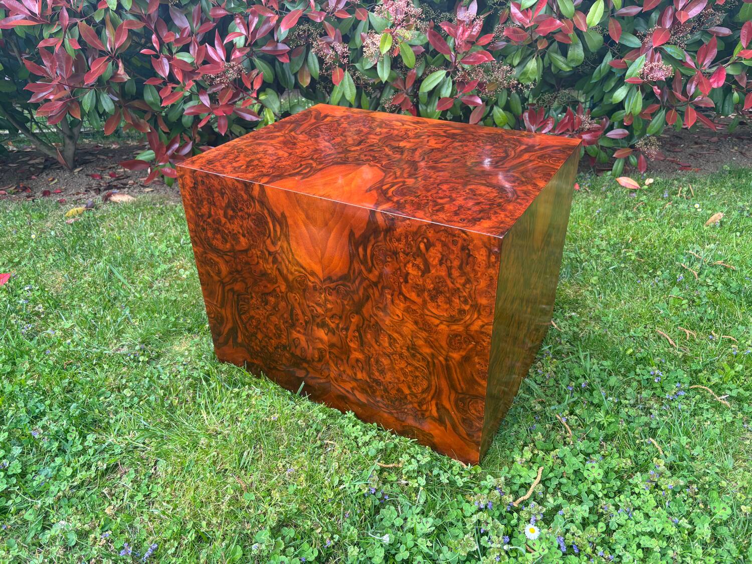 Cube en loupe de ronce