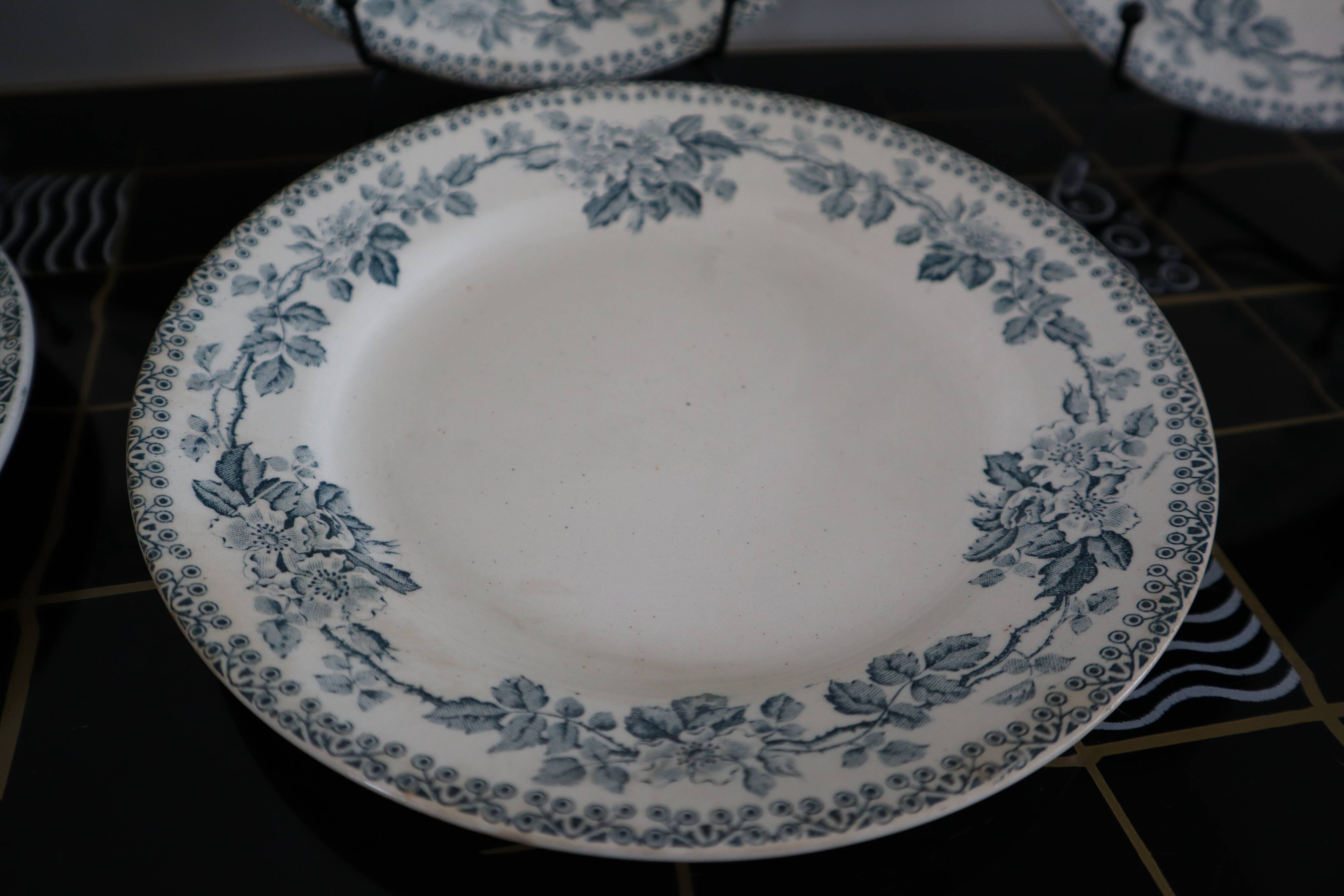 6 flat plates Terre de Fer model Guadeloupe Saint Amand
