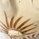 Sgraffito Neo-Archaic Vase - Signed FF Fanciullacci, 1950