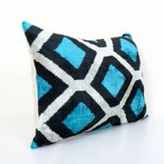 Cushion