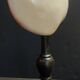Cabinet of Curiosities codakia tigerina shell on base