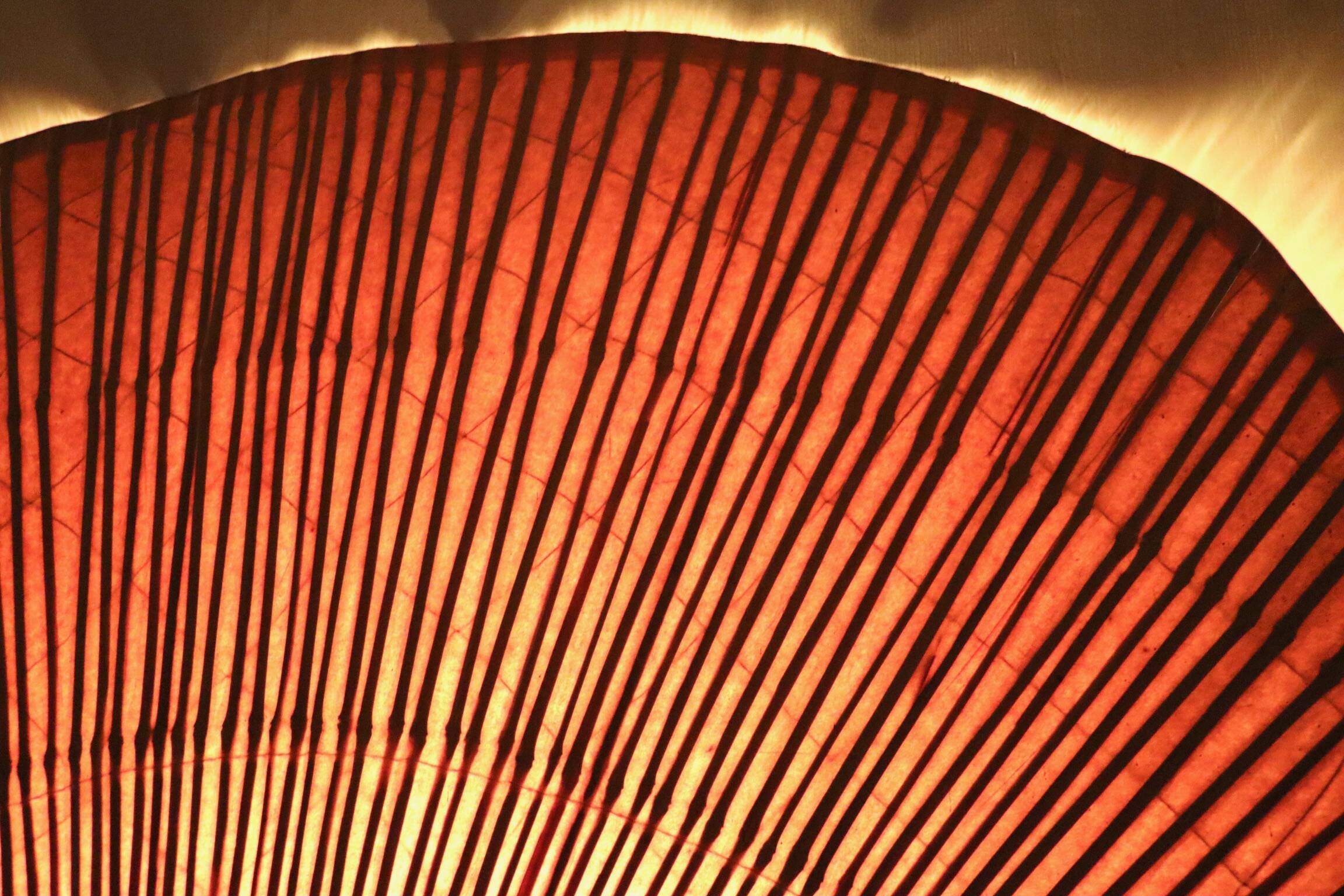 Large Uchiwa Floor lamp by Ingo Maurer for M Design , Germany 1977