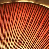 Large Uchiwa Floor lamp by Ingo Maurer for M Design , Germany 1977