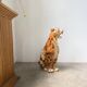 XL Italian ceramic leopard sculpture statue 1970