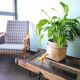 Table basse, herse agricole