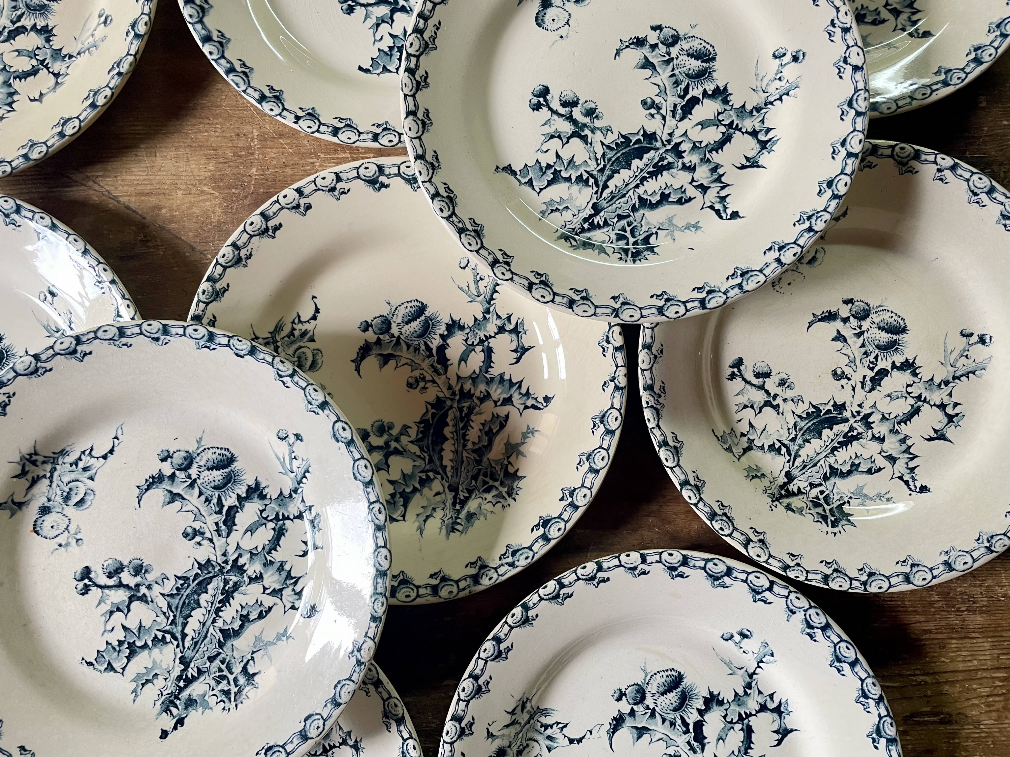 10 plates thistles Gien