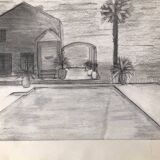 Palm Tree Illustration