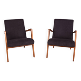 Fauteuils en hêtre type 300-138 de l'usine de meubles Bystrzyckie, années 1960, lot de 2