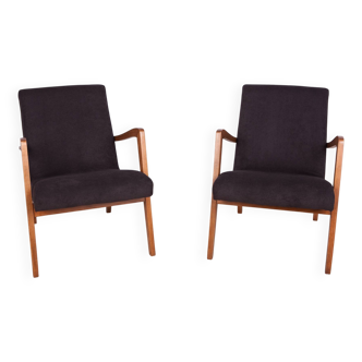 Type 300-138 Beech Armchairs from Bystrzyckie Furniture Factory, 1960s, Set of 2