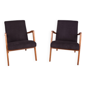Type 300-138 Beech Armchairs from Bystrzyckie Furniture Factory, 1960s, Set of 2