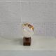 1960s wall lamp in teak and opaline by Guro Leuchten