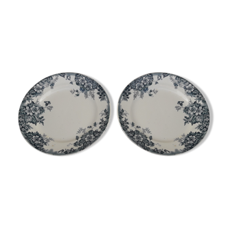 set of 2 flat plates in earthenware of Mills of wolves and Hamage diam 21.5 cm