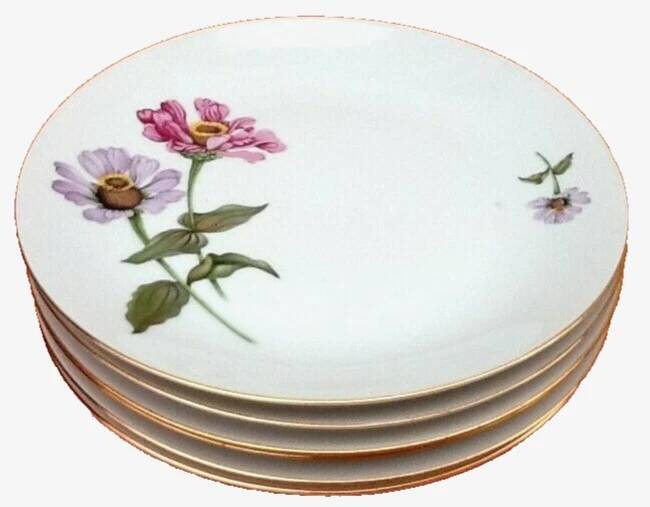 6 flat plates Fine Bohemian porcelain Floral decoration on a white background