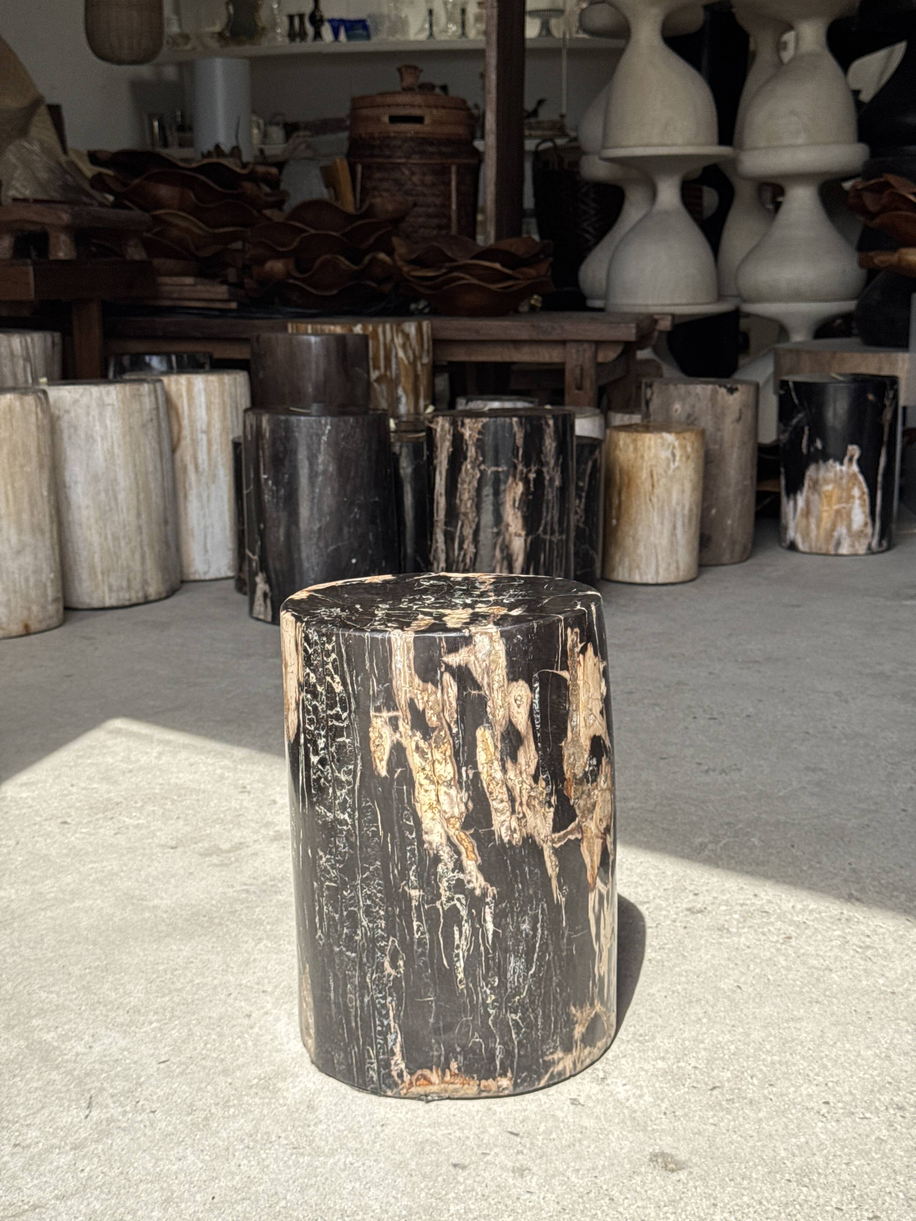 Black petrified wood side table with beige side H35 D24 - 3352