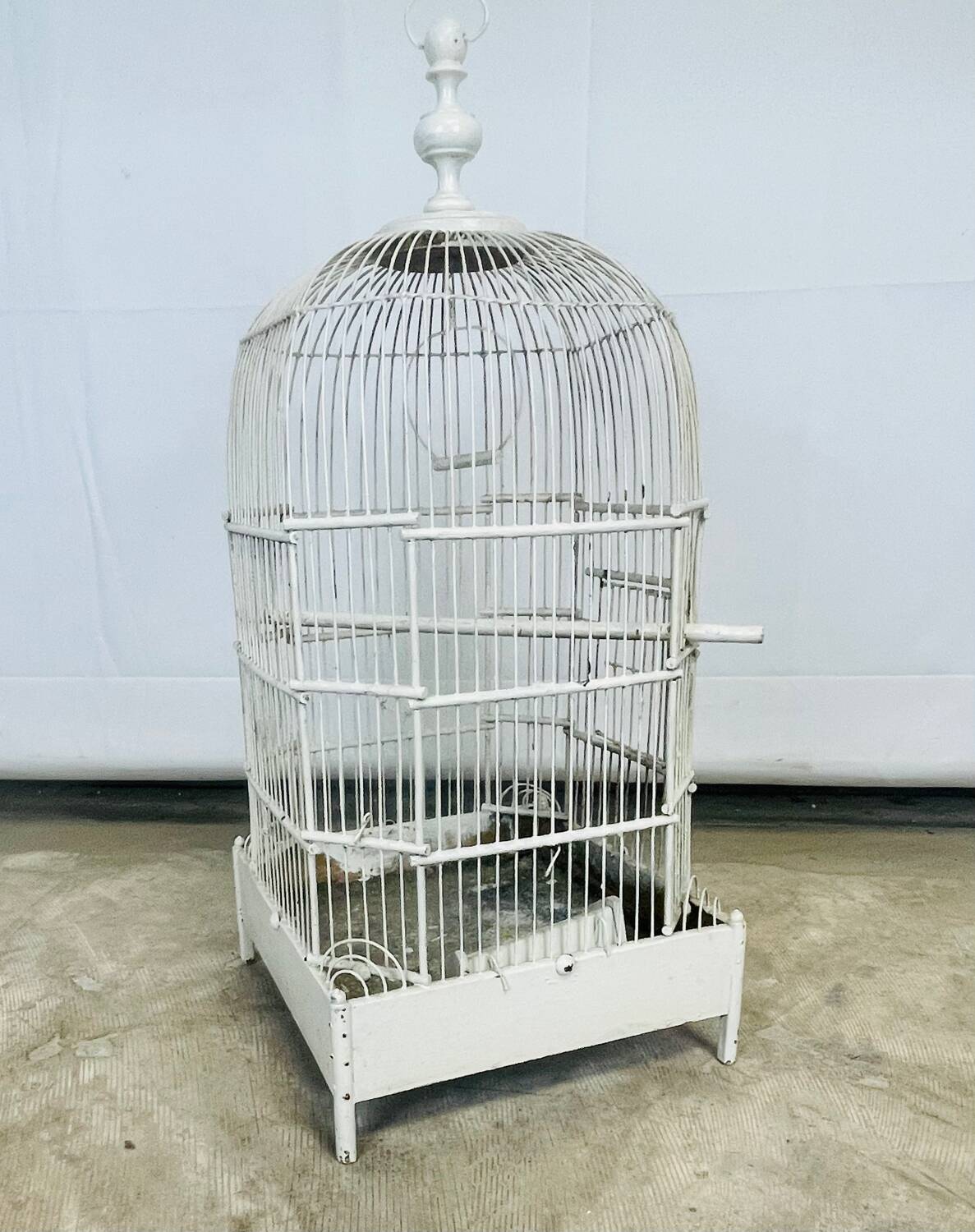 Bird cage