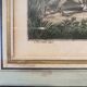 Antique engraving , the hunter to the discovery early XX century