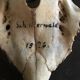 Old deer trophy