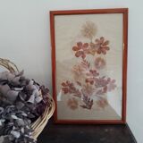 Herbarium