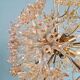 Large Sputnik chandelier in brass and amber Murano glass, SiSche, 1960.