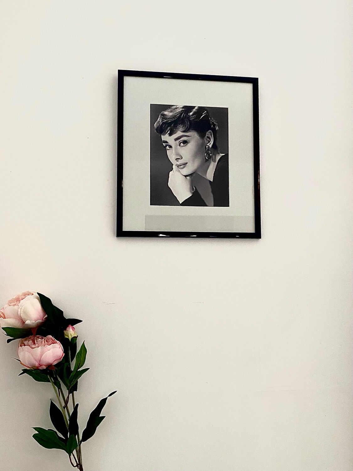 Frame Audrey Hepburn