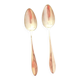2 large silver-plated metal spoons (19th century)