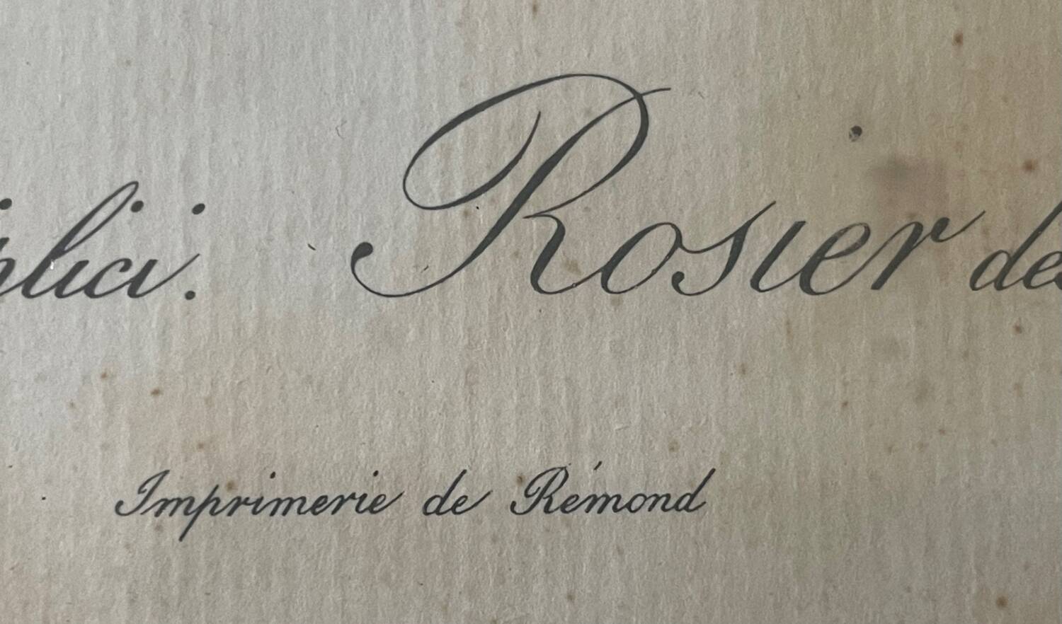 Pair of pink framed reproductions of PJ Redouté