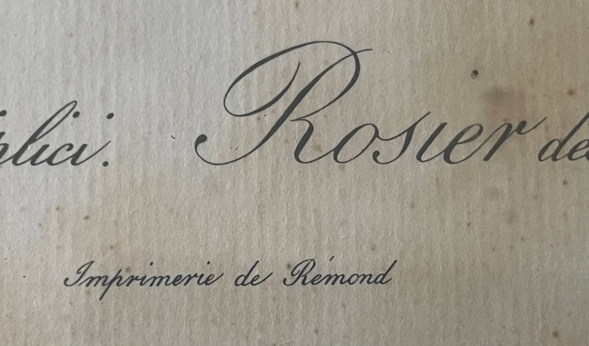 Pair of pink framed reproductions of PJ Redouté