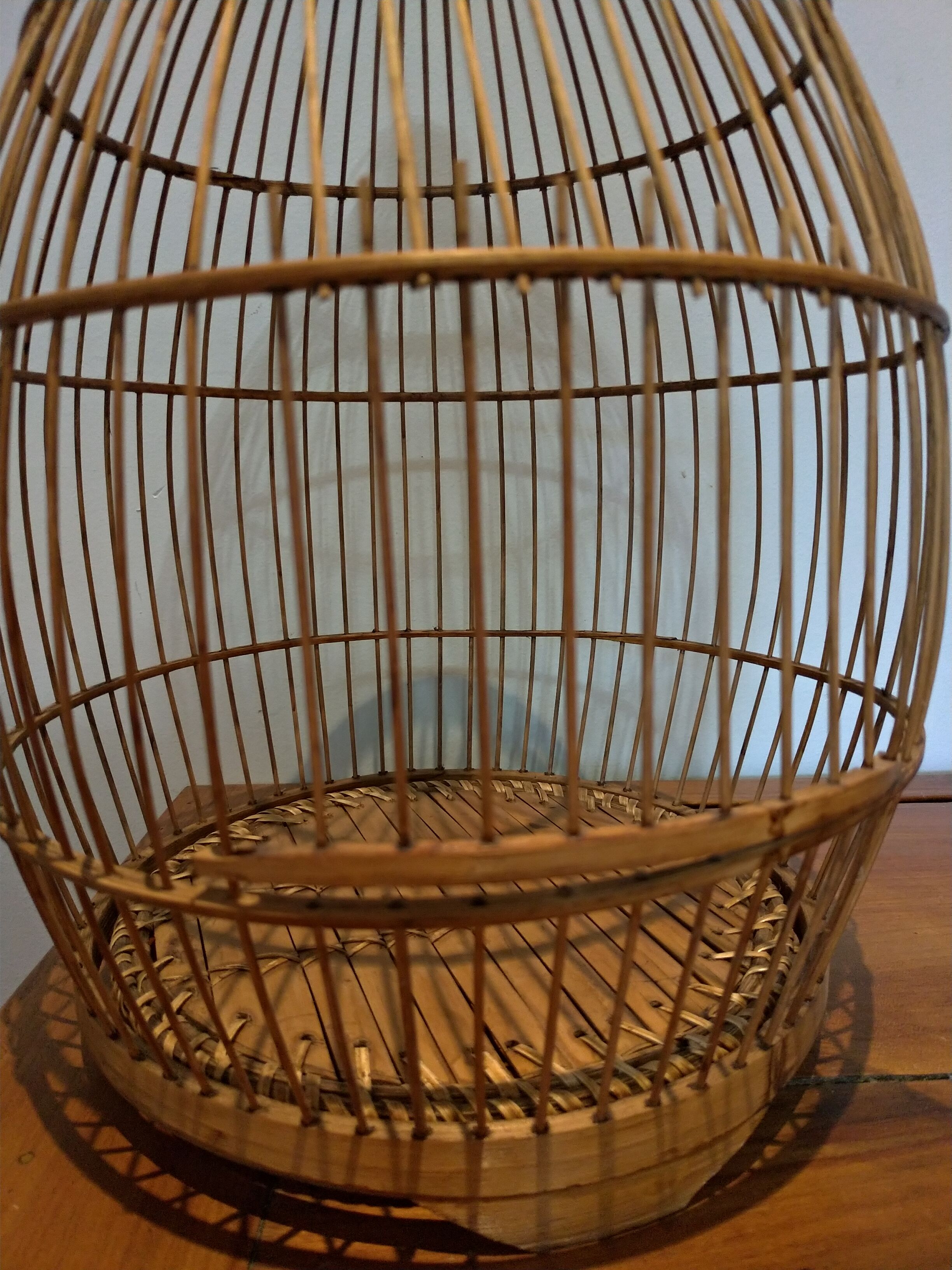 Ancient bird cage