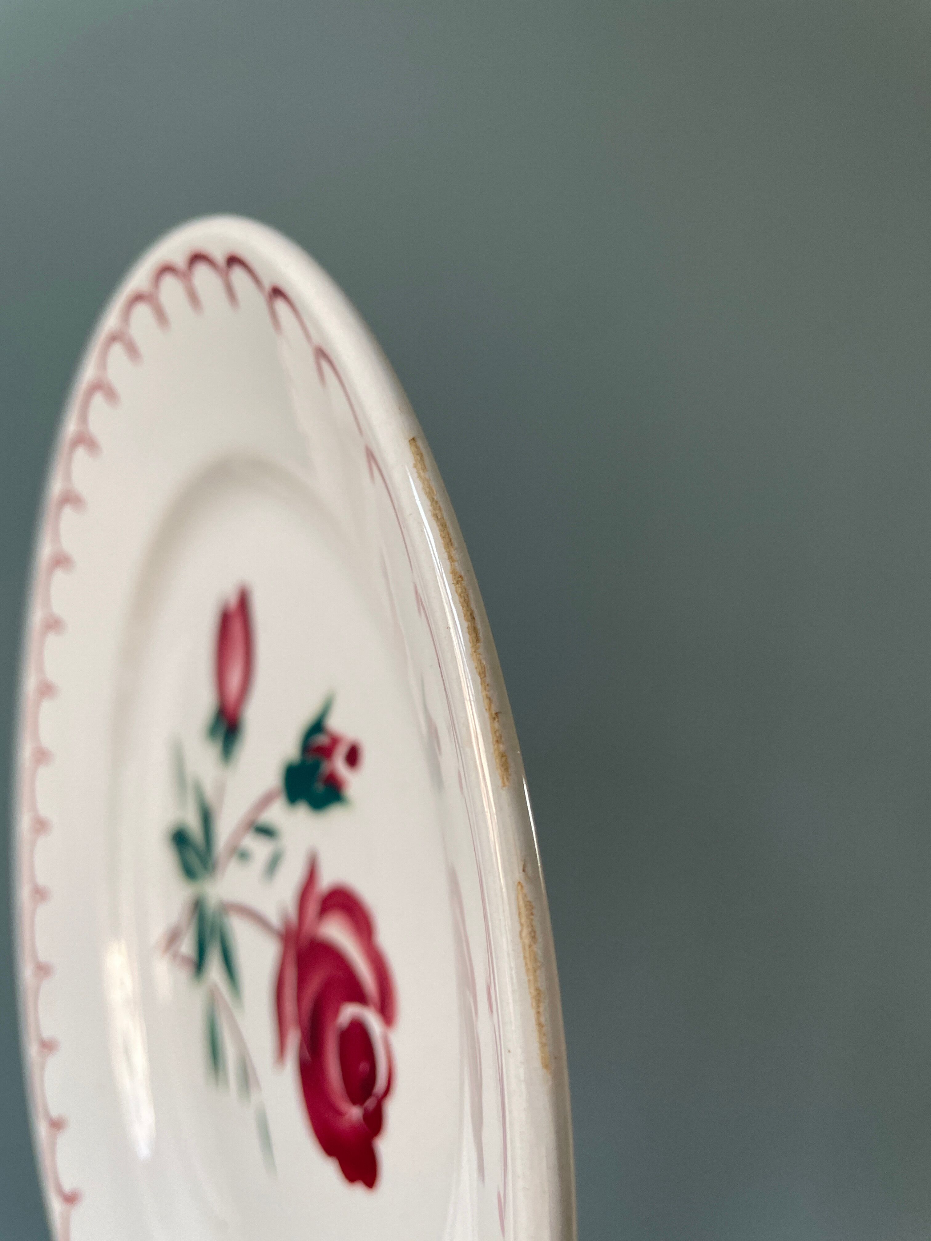 Set of 9 vintage flat plates in Badonviller earthenware