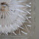 Applique murale plafonnier verre minimaliste 1970 1980, années 70-80