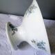 Coupe pied douche porcelaine dure A.Hache & Cie V France art nouveau oiseau fleurs bleues