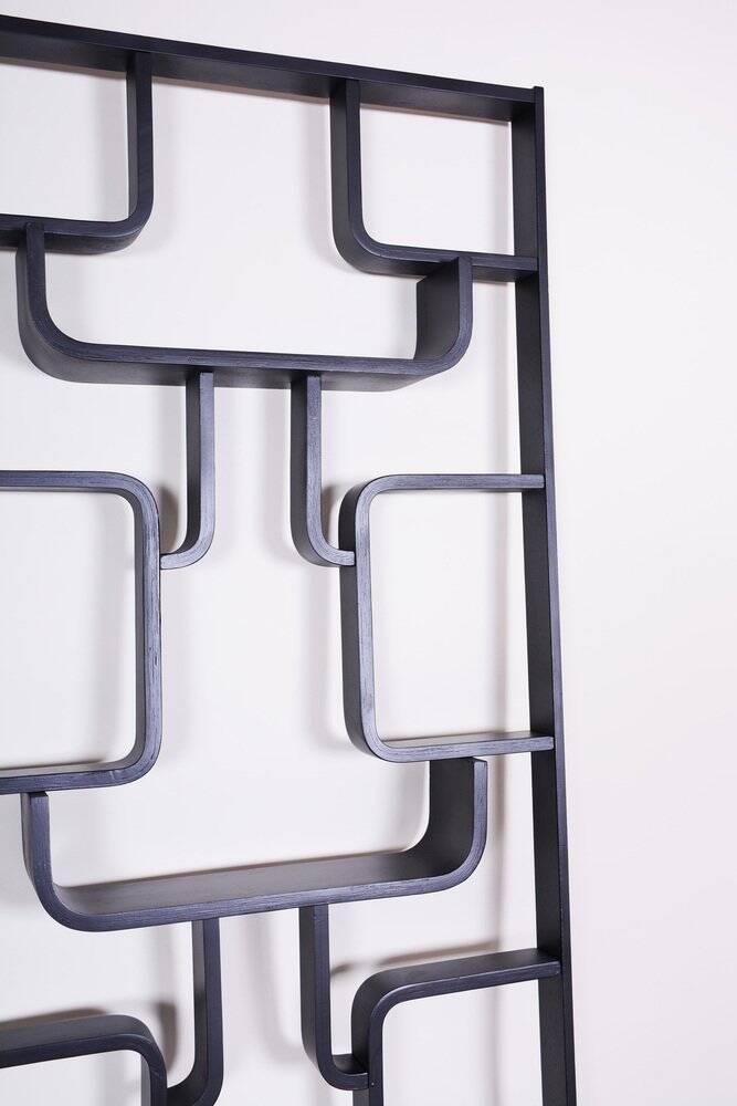 Mid-Century Room Divider Wall Unit by Ludvik Volak for Drevopodnik Holesov, 1960s