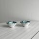 Hand painted ceramic salt and pepper shakers