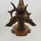 Deer head stuffed and naturalized Taxidermy