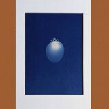 Cyanotype