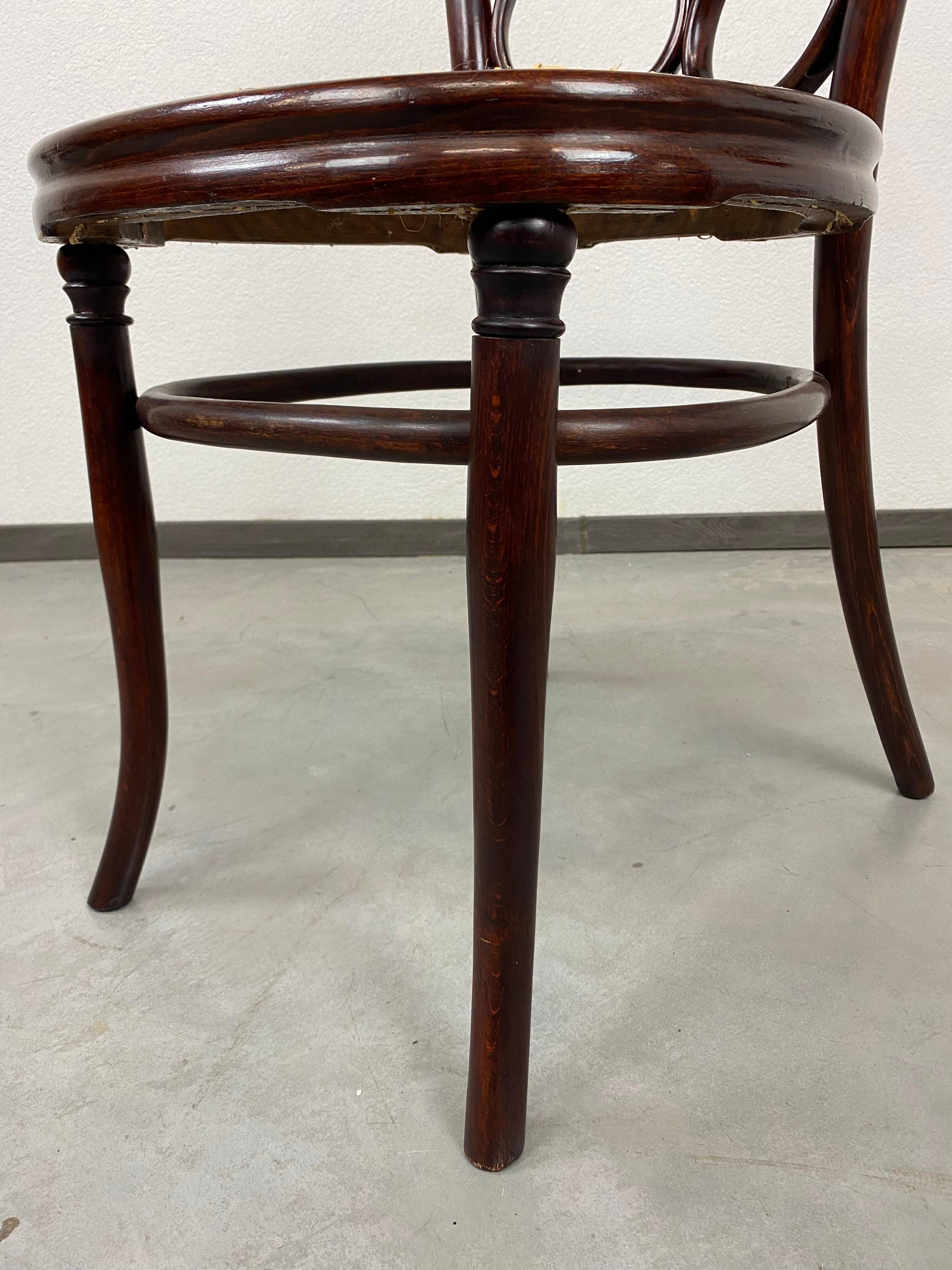 Chaise de salle à manger Thonet n°4