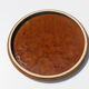 trivia dish