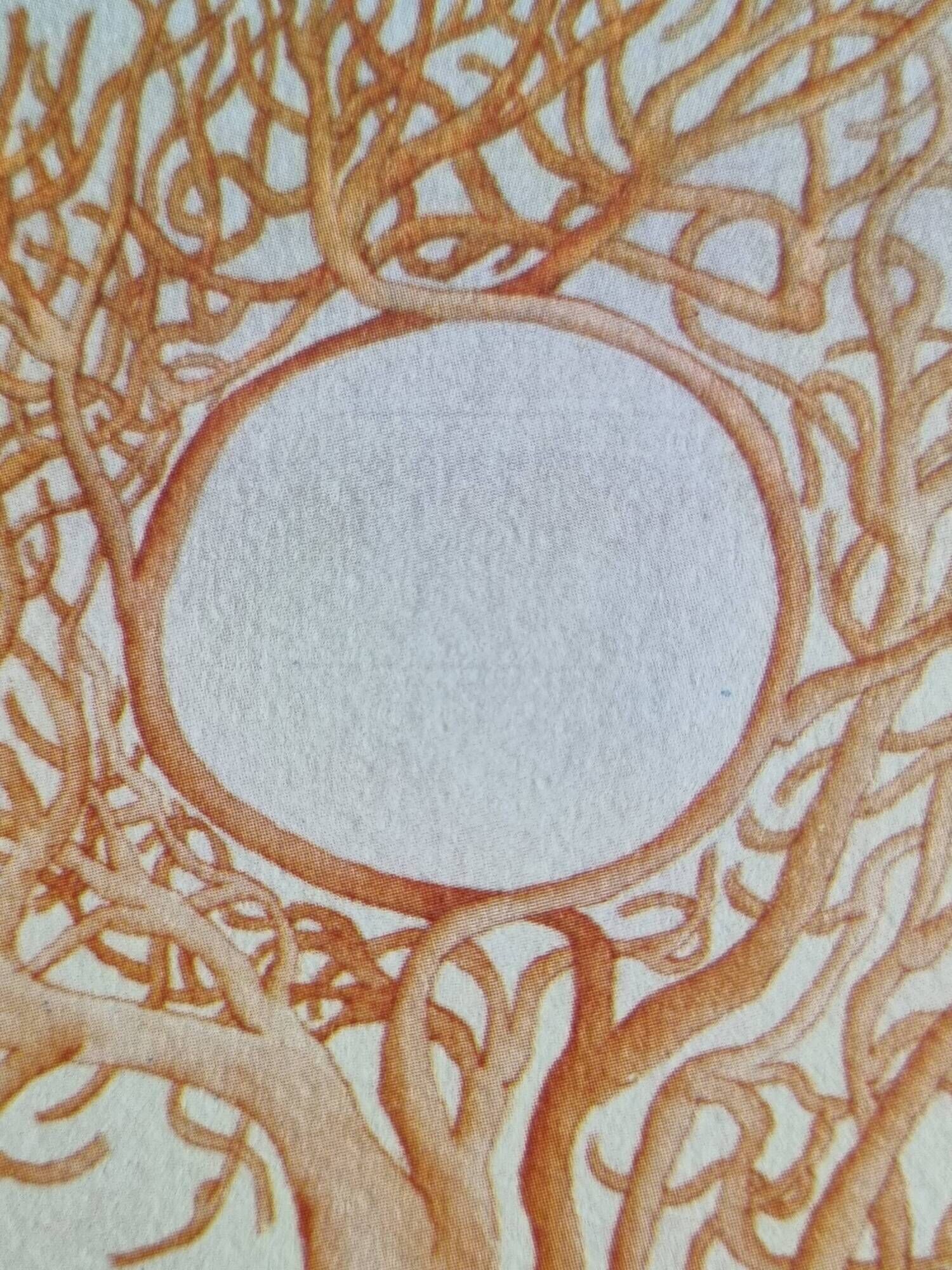 Vintage reproduction after “The Thinking Tree” by Folon, framed, 1974, 42 cm x 31 cm