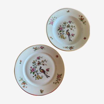 Assiettes fleur et oiseau