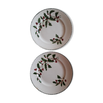 Set of 2 plates at the top of Saint Amand - Iron Land