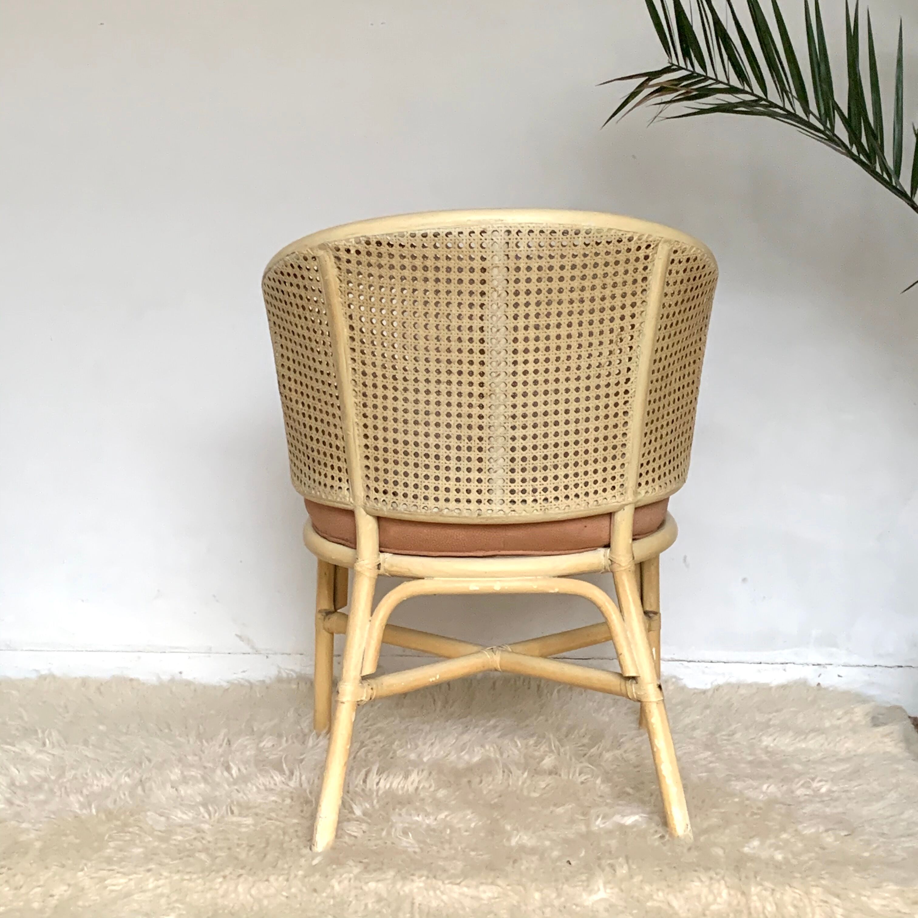 Rattan and canning armchair