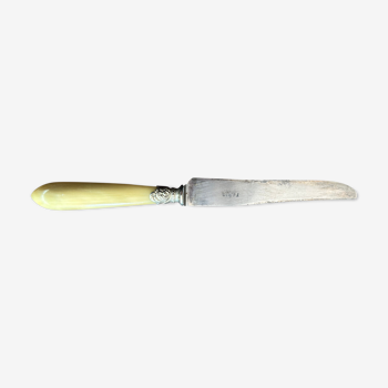 Set of 12 horn handle table knives