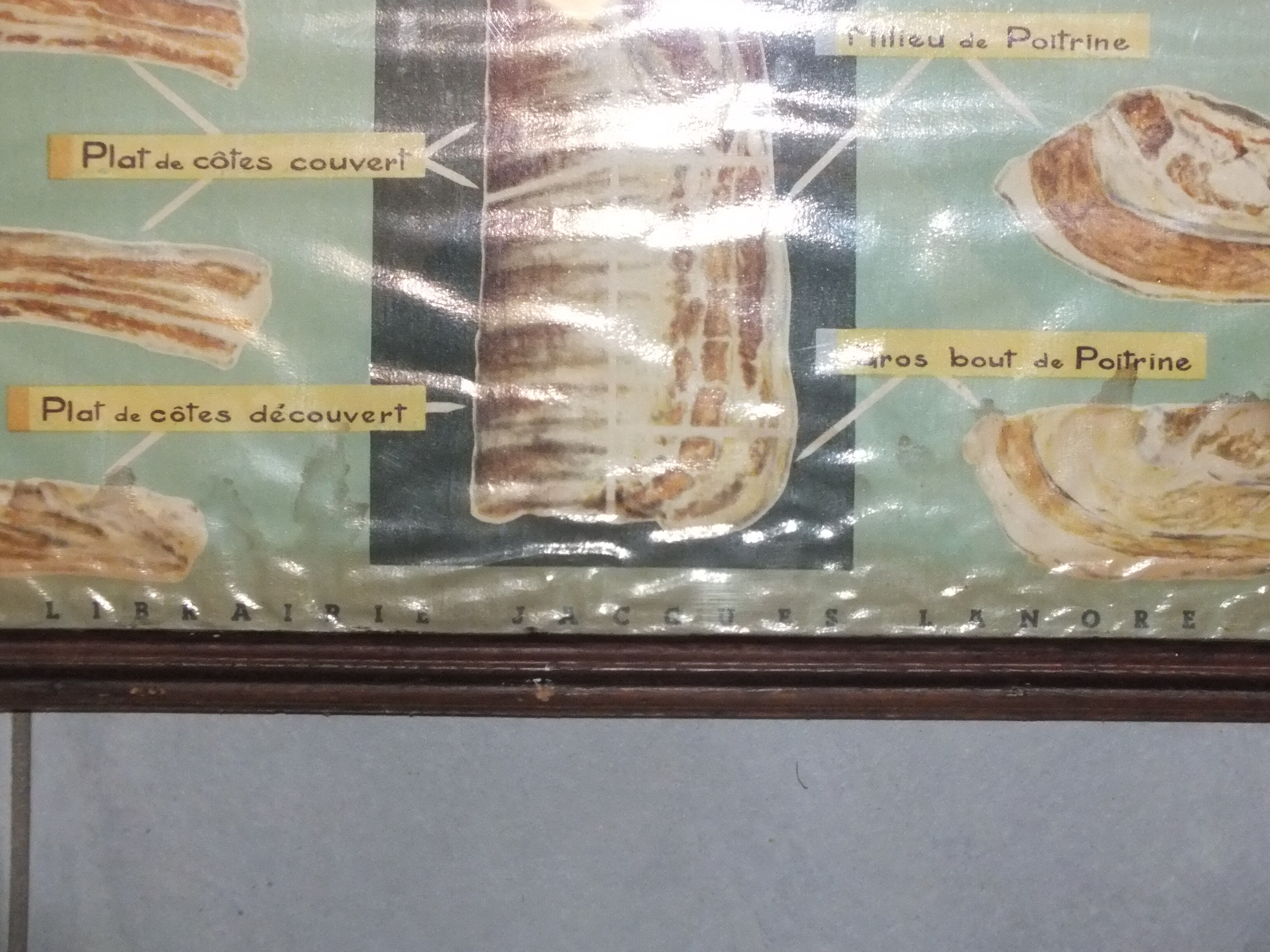 Jacques Lanore's pedagogical poster - Le Boeuf (shoulder)