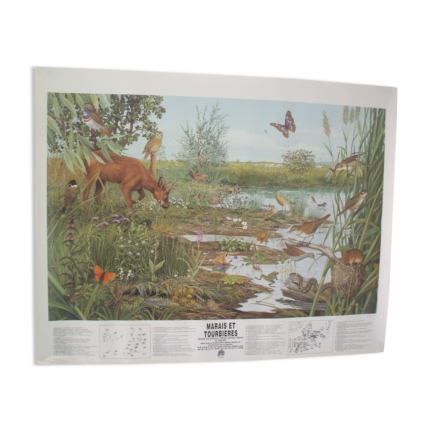 Affiche "Marais et Tourbière" éditée par la "Frapna"