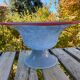 Italian basin blue and red border