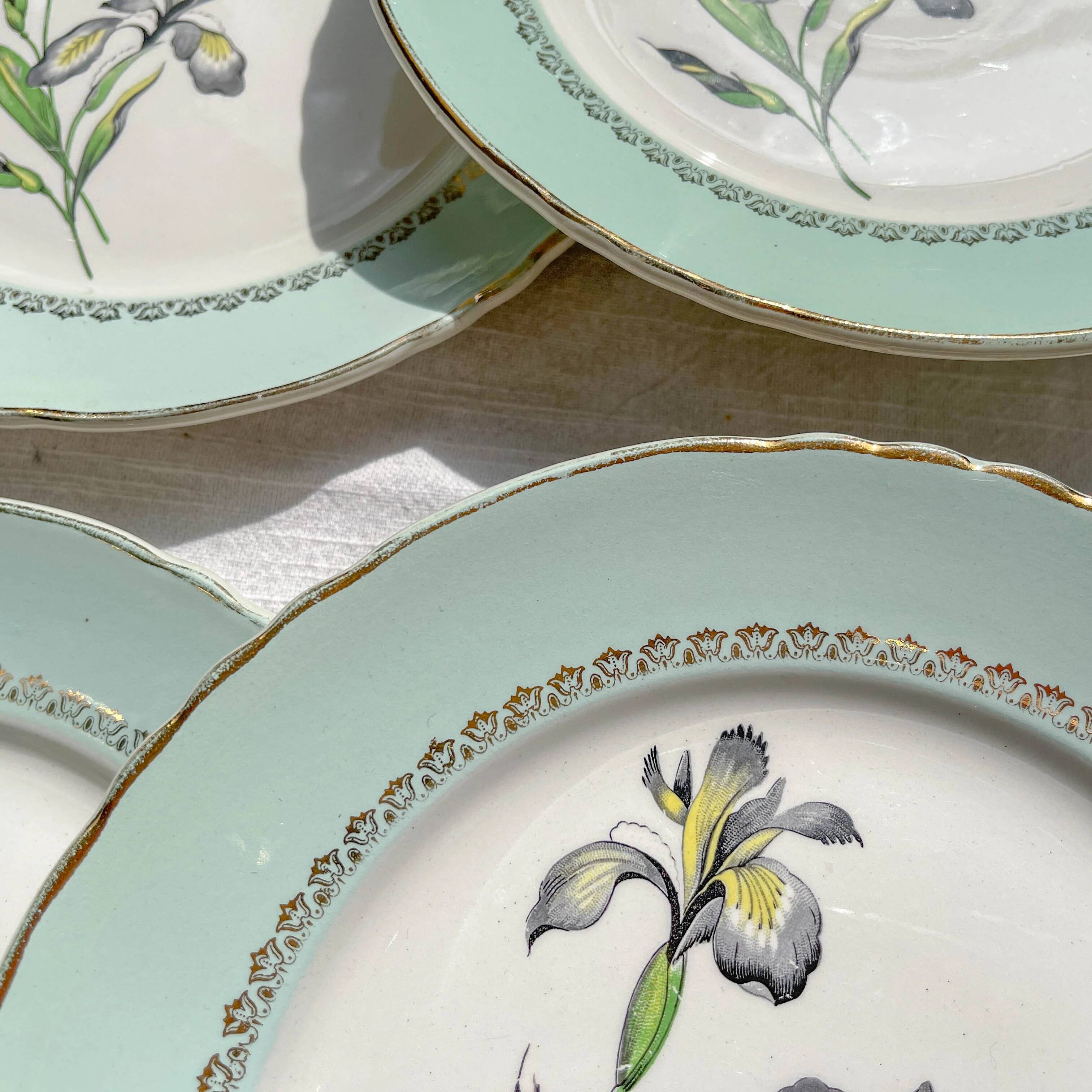 6 vintage white and green porcelain dinner plates Iris Moulin des Loups "Sargosse" 1950s