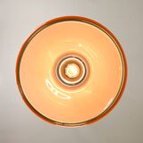 Space Age Cabras Pendant Lamp by Luigi Massoni for Guzzini, 1960s