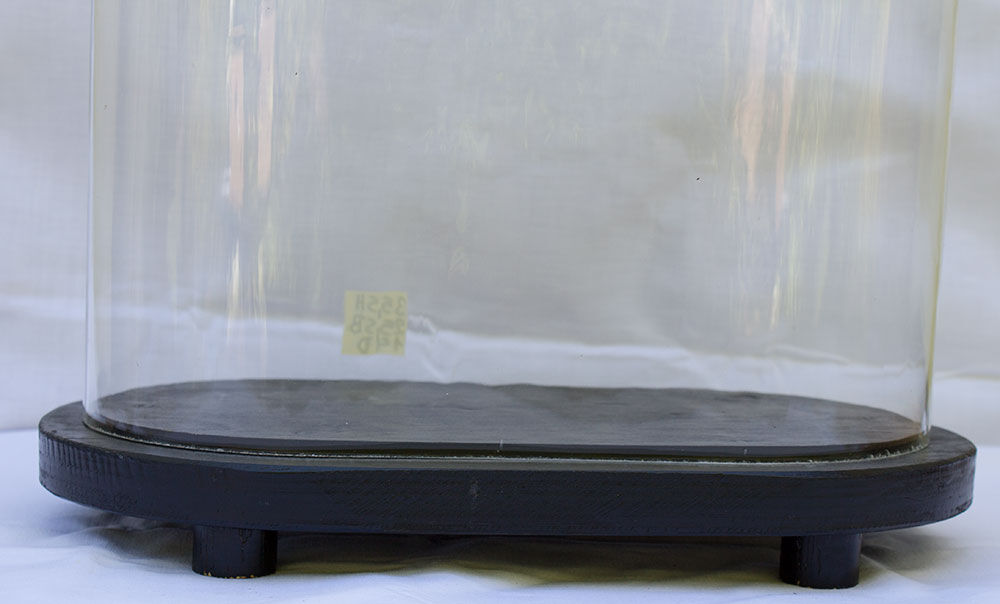 Old oval glass globe 35.5 cm high black foot