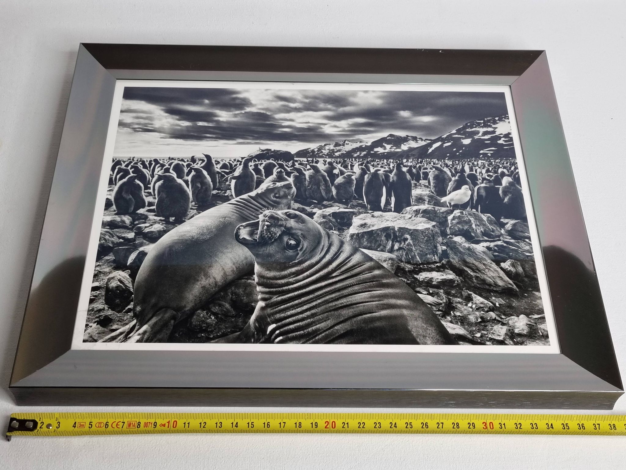 Offset edition in black and white "Genesis" after Sebastião Salgado, framed under glass, 30 x 38 cm