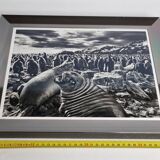 Offset edition in black and white "Genesis" after Sebastião Salgado, framed under glass, 30 x 38 cm